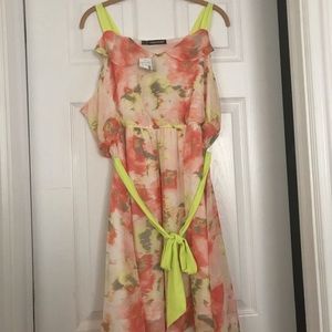 Beautiful floral Summer Dress size 1X